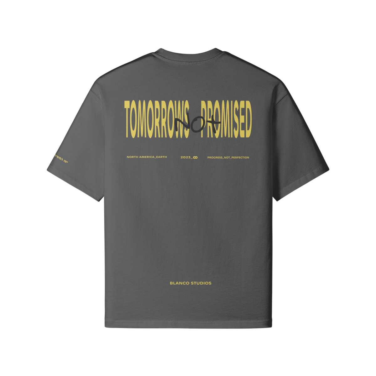 TOMORROWS NOT PROMISED TEE - GREY